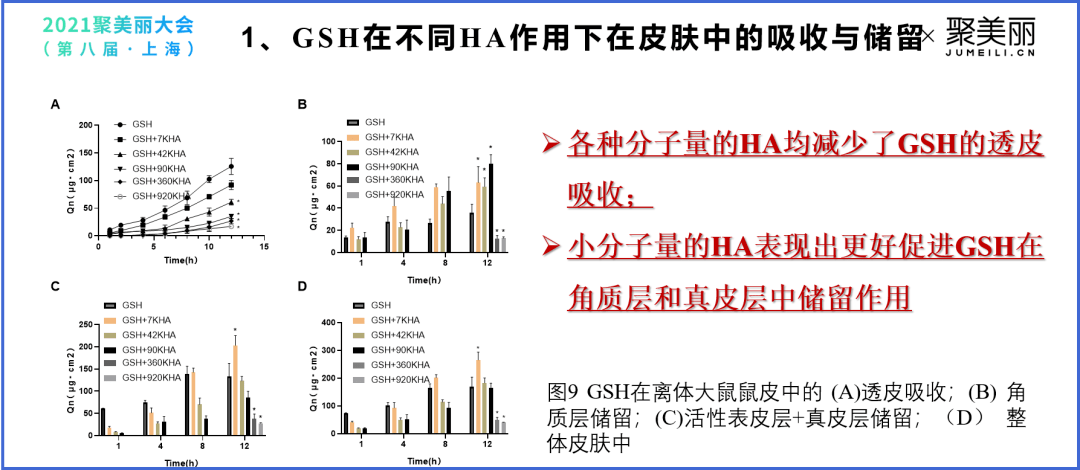 手袋托料成分，深度解析其构造与功能
