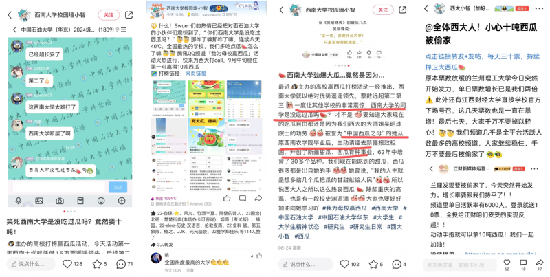 个人简历活动运营，打造卓越的个人品牌之路
