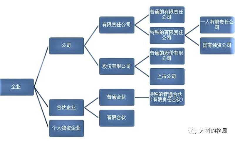公司制企业出资形式，多元化投资与企业管理策略