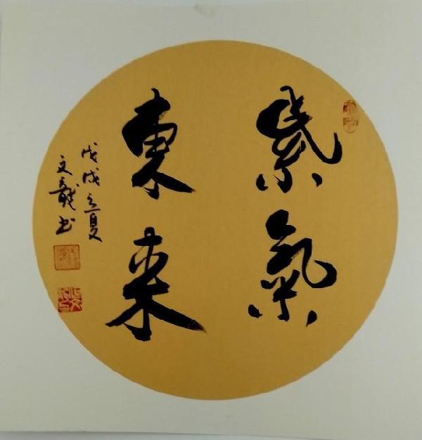 孕妇生孩子MP4，记录生命诞生的数字时代见证者
