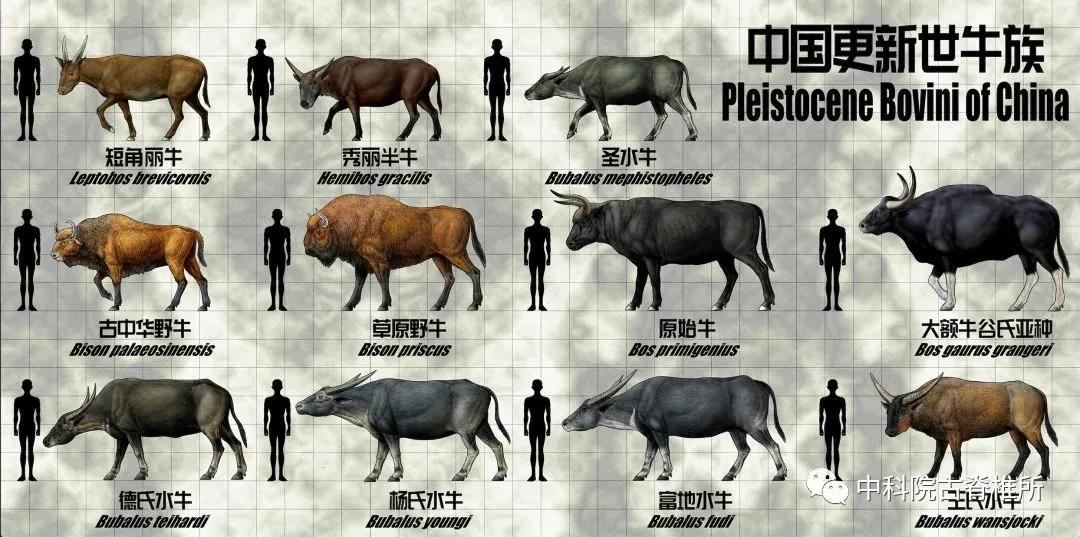 第282页