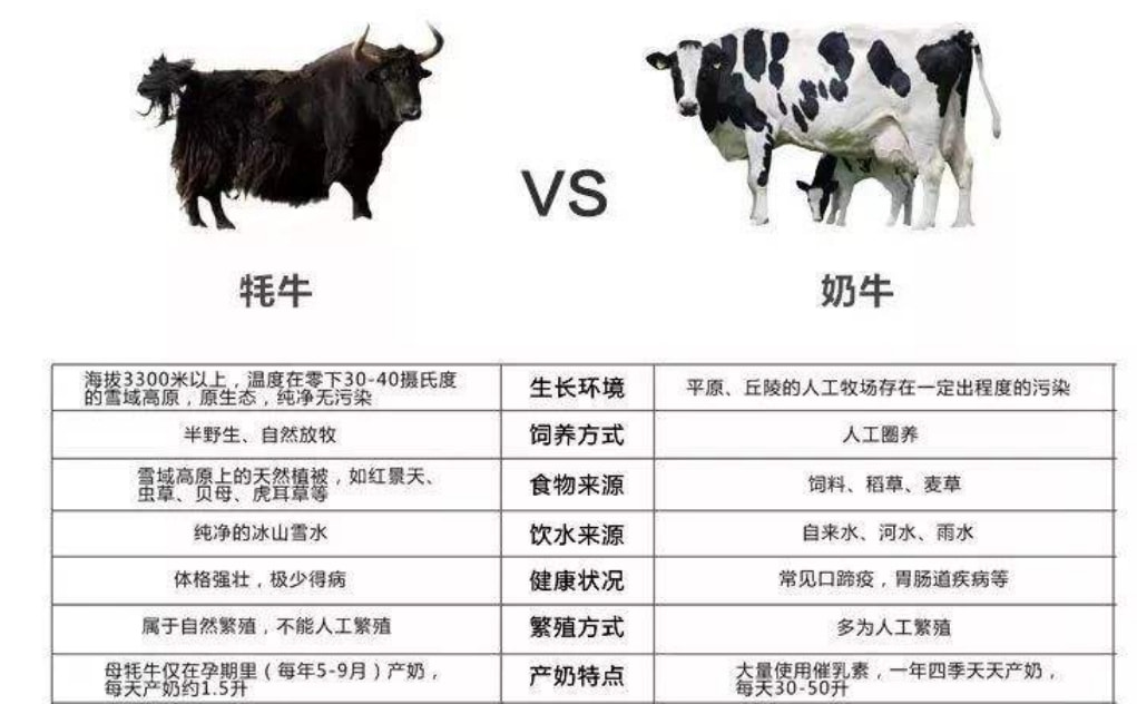 牛奶产品，多样性与营养价值