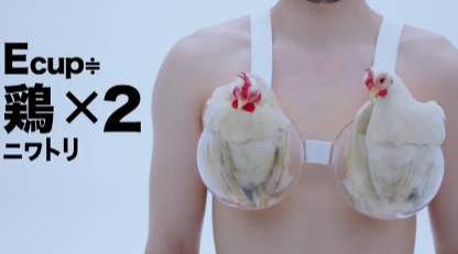 乳房重量的探索与理解