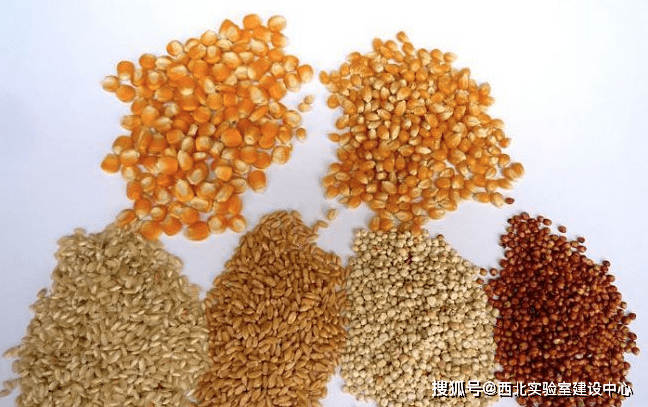 大台农饲料种类丰富，满足不同养殖需求