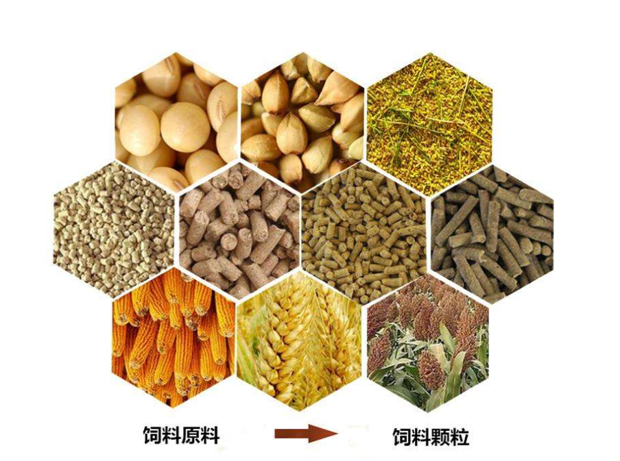 饲料种类概述