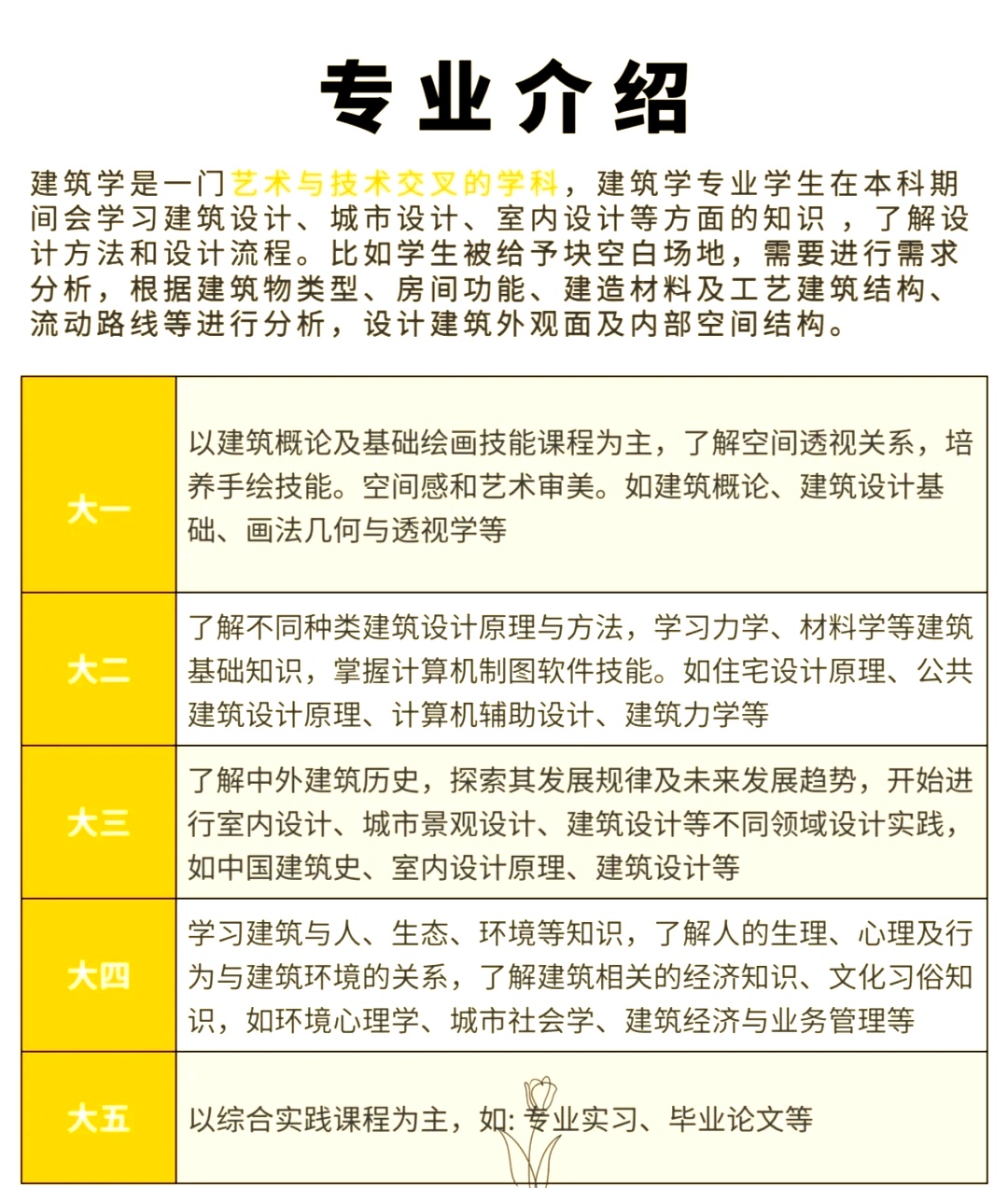 建筑系学费，深度探讨与全面解析