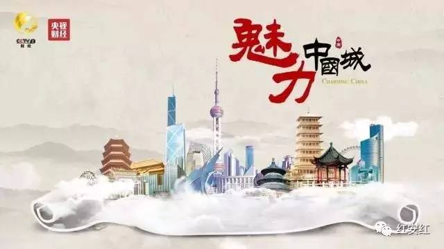 中央六台节目的魅力与影响