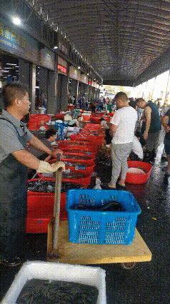 揭秘当下市场，哪些产品好卖？