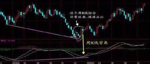 admin 第342页
