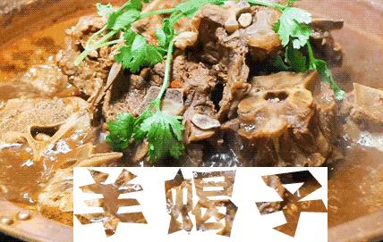 内蒙古羊的种类及其特点