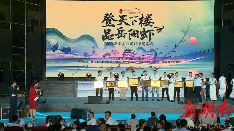 电视节目预告表，引领观众走进多彩视听世界