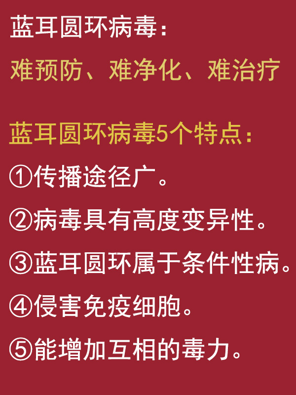 蓝耳毒株种类及其影响