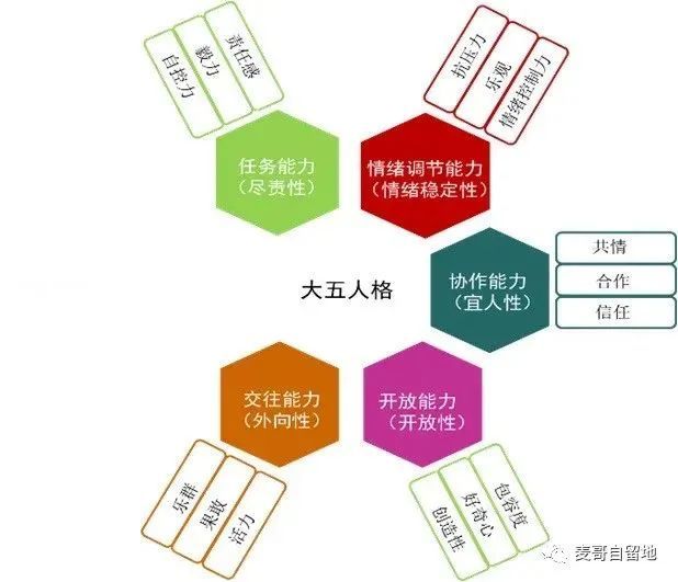 社会责任模型，构建企业可持续发展的基石