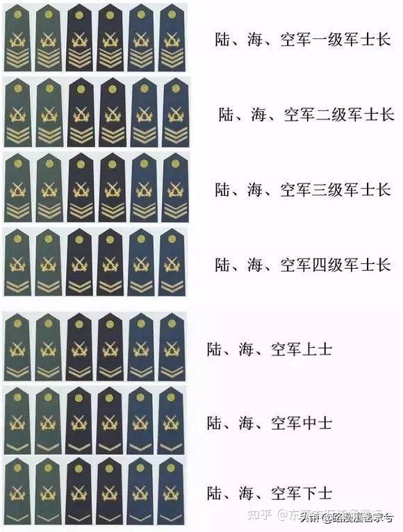 士官等级与待遇，军队中的制度及其意义
