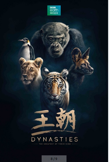 黄金狮子瞳，神秘力量的象征与独特魅力的展现