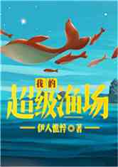 黄金渔场顶点小说，人与自然的和谐传奇