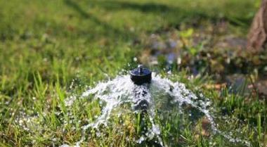 大棚养什么海水鱼——海水鱼养殖的新探索