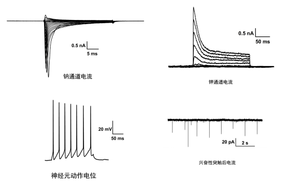 水平测量仪器NA2，技术特性与应用领域