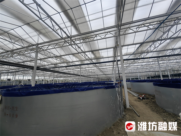 养殖青虾玻璃大棚，现代水产养殖的新趋势