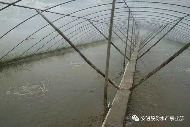 大棚养虾产量及其影响因素分析