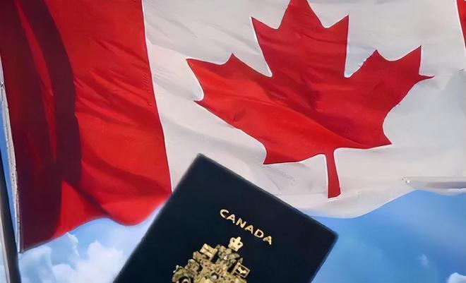 英语专业技术移民加拿大的全面解析
