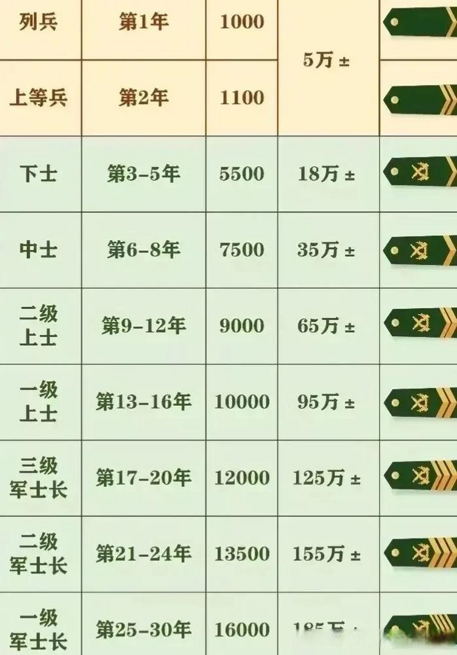 士官随军待遇，现状、挑战与未来展望