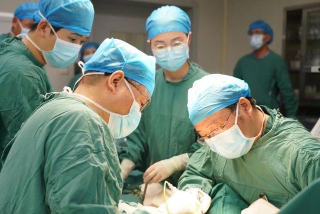 儿童医院小儿骨科专家——守护儿童骨骼健康的守护者