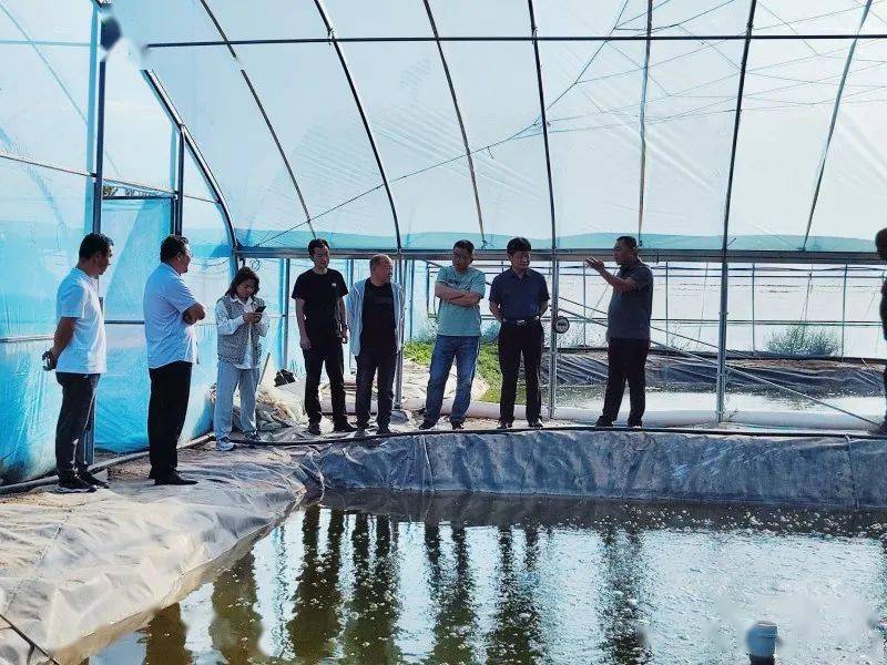 盘锦建水产大棚，创新养殖模式，推动地方渔业高质量发展