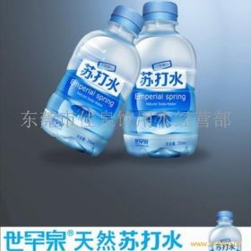 自制苏打水饮料，健康与美味的完美结合