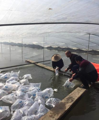大棚养水产赚钱吗，行业前景、运营模式与盈利分析