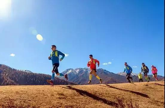 全国越野跑赛事，激情与挑战的完美结合