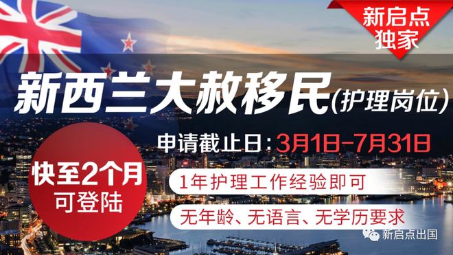 IT专业移民新西兰，探索机遇与实现梦想的指南