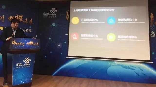 探索风险投资与创投领域，多元化投资策略下的投资新纪元