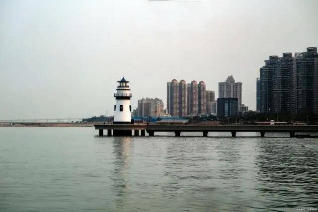 流畅天成，探索自然之美与和谐的力量