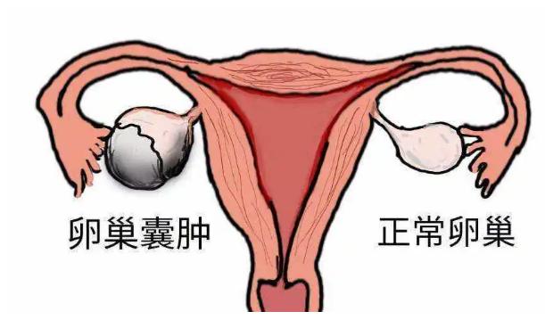 北京毛发皮肤科专家，专业守护头皮健康