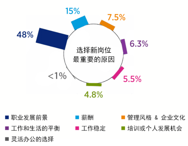 WPC待遇，探索职业发展与福利待遇的新领域