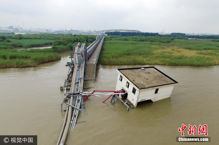 长江货轮货运价格，影响因素与市场动态