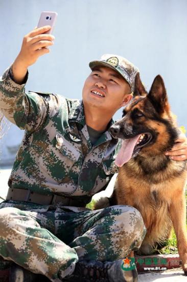 美军军犬待遇，超越人类想象的特殊关怀