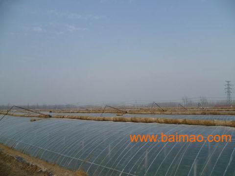 河虾养殖大棚设计，构建高效、可持续的水产养殖新模式