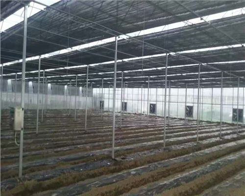 养殖青虾大棚的建造与运营，图片详解