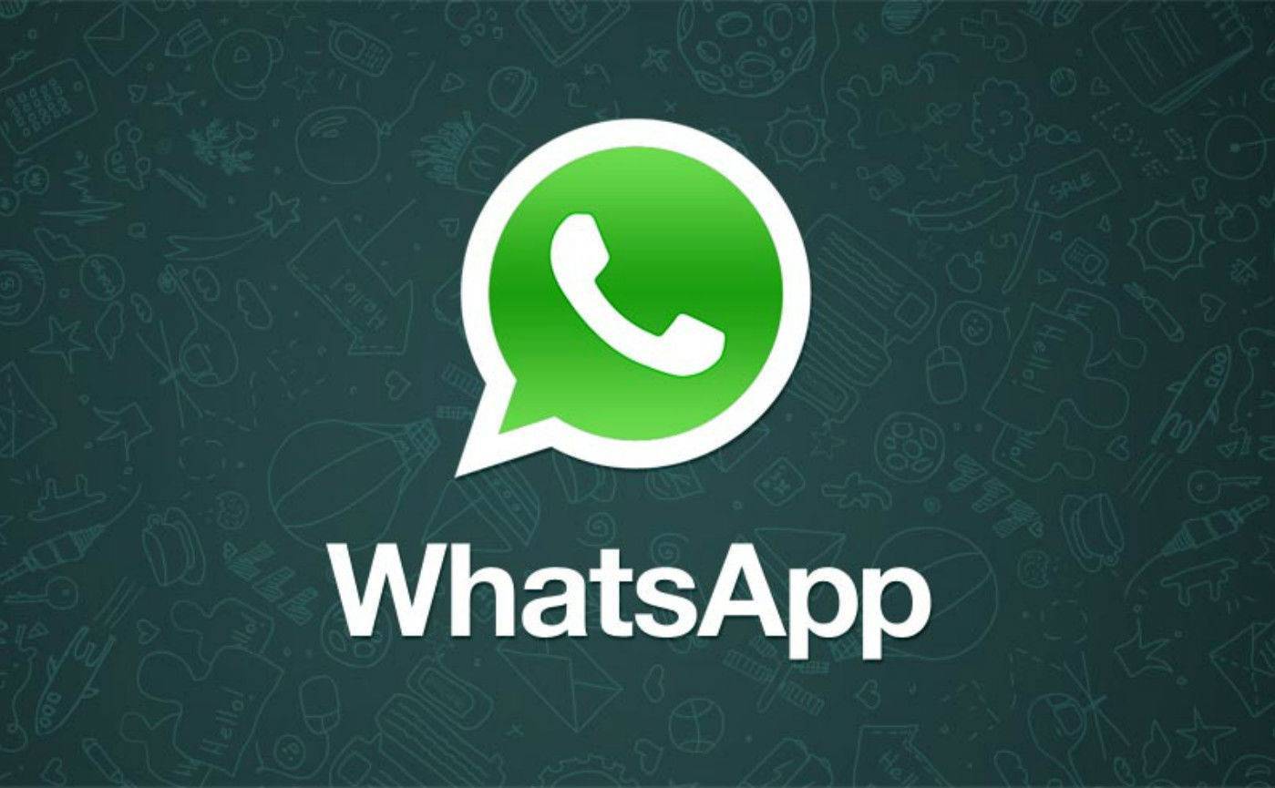 探究专业WhatsApp客服公司的优势与价值