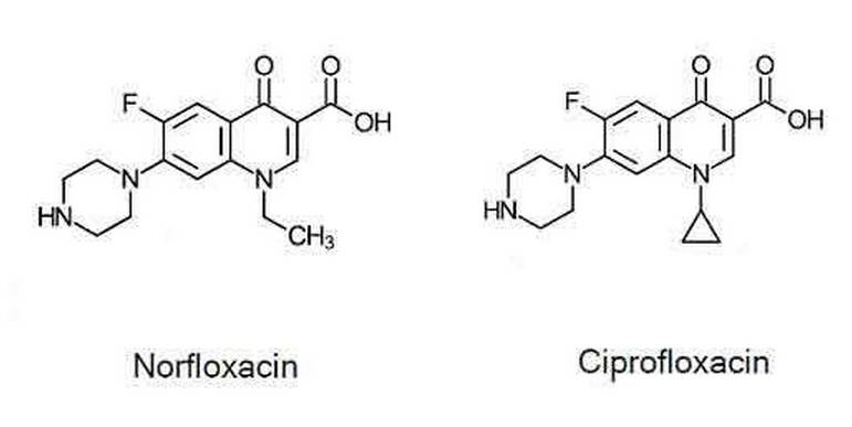 喹诺酮类药物在儿童应用中的专家共识