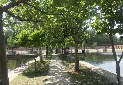 温室大棚水产养殖，现代水产养殖新模式