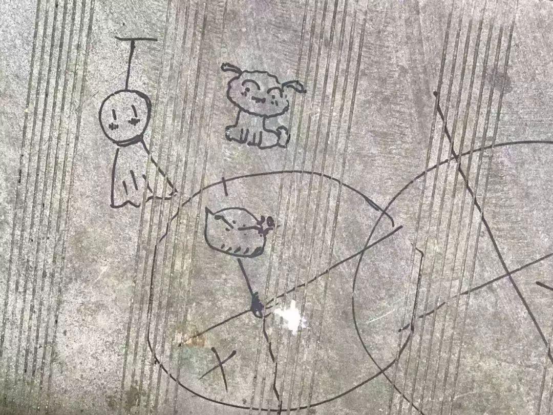 中国测量测绘协会，推动行业进步的核心力量