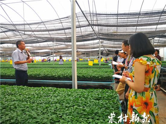 工厂化水产养殖大棚，现代水产养殖的新趋势