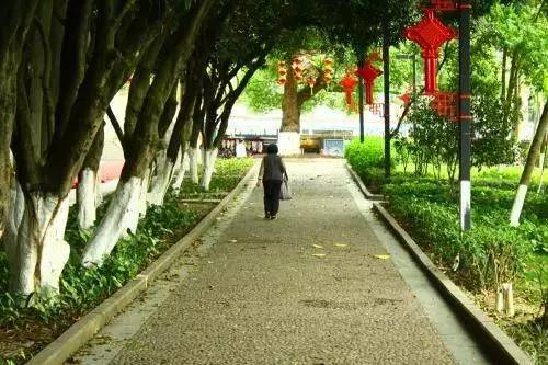 揭秘剧组骗局，探寻真相与防范之道