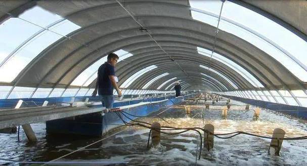 海鲜大棚养殖，探索现代水产养殖新模式