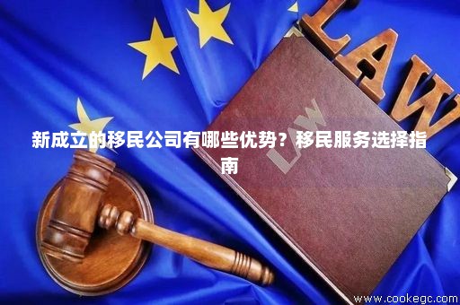 专业的深圳移民公司，引领移民服务的新时代