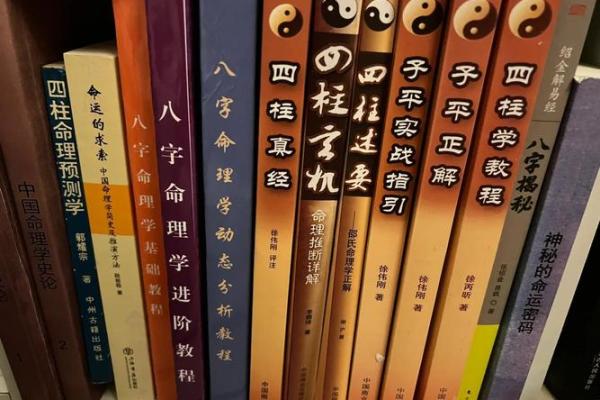 买一本书排八字，探寻命运与智慧的交融