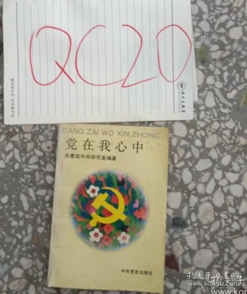 一本书，党在我心中